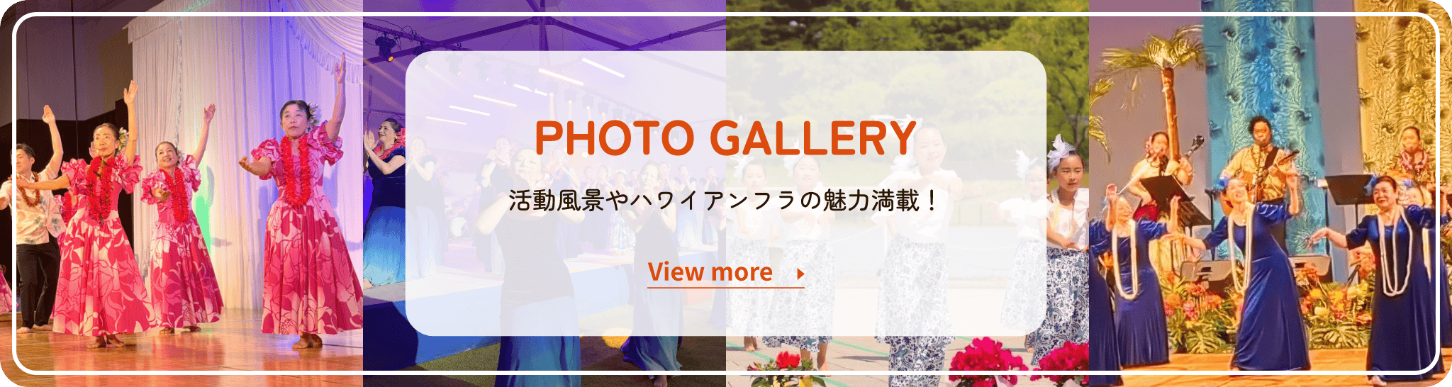 Photo gallery 活動風景やハワイアンフラの魅力満載！